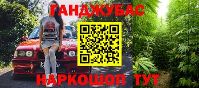крисы Кулебаки