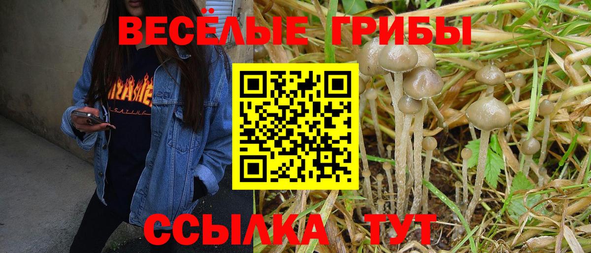 Заводоуковск  Псилоцибиновые грибы GOLDEN TEACHER  Вход с VPN 