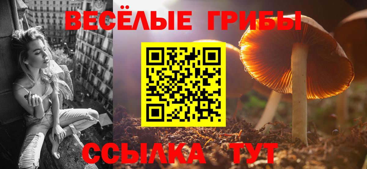 Псилоцибиновые грибы Magic Shrooms Заводоуковск